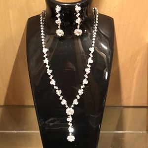 Gorgeous Necklace & Earring Set NWOT